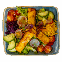 Halloumi Salad